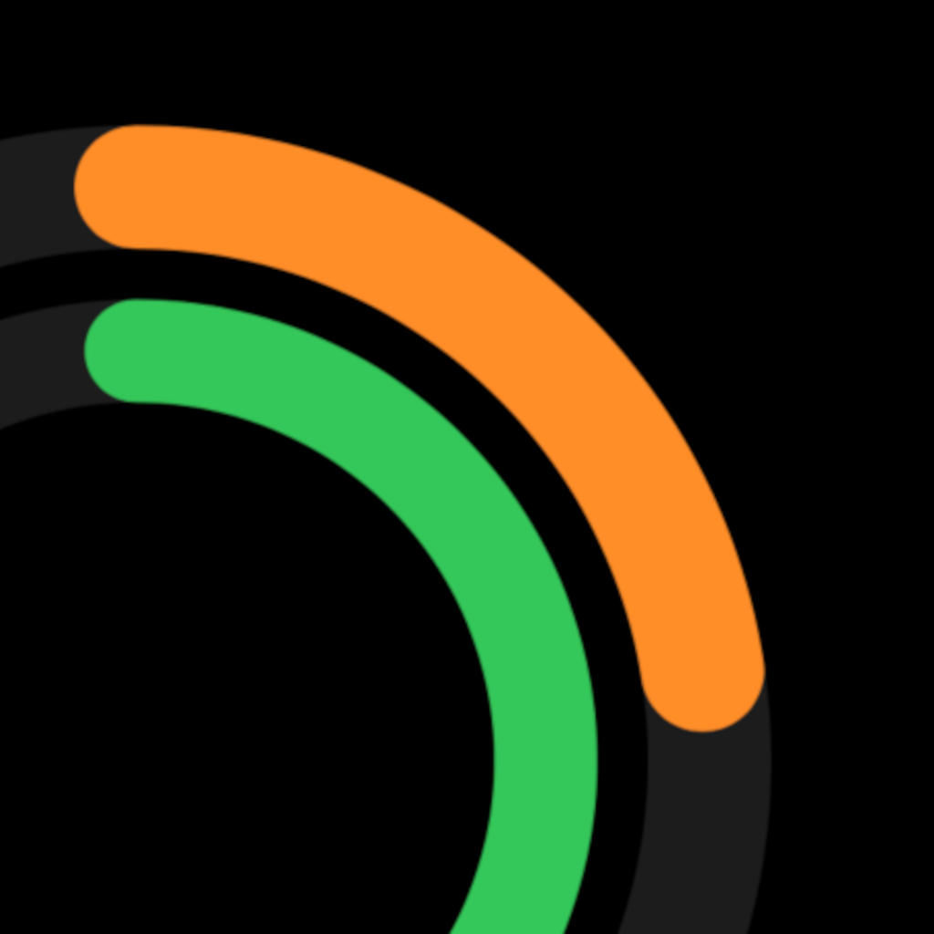 Timing Lions app icon